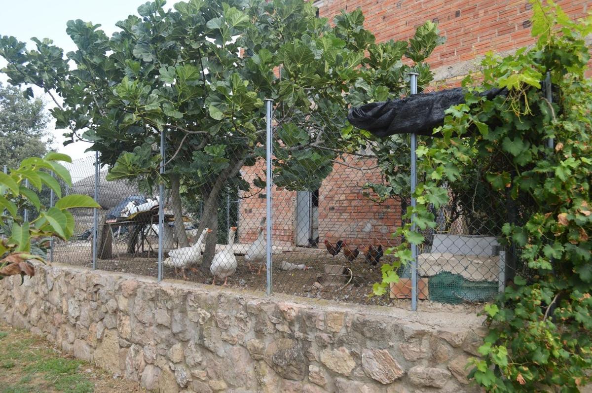 Masoveria La Roca Sagàs Kültér fotó