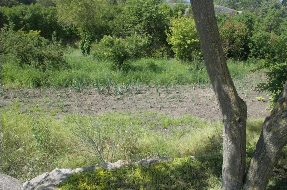 Masoveria La Roca Sagàs Kültér fotó